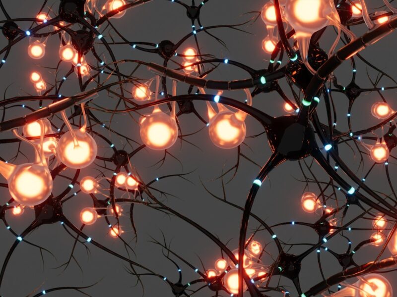 A bunch of lights that are on a tree